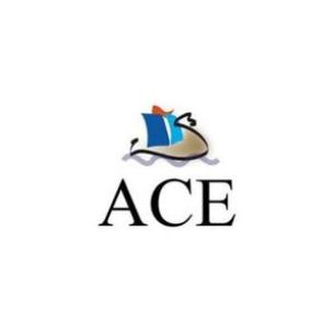 ACE - Groupe Endel Engie